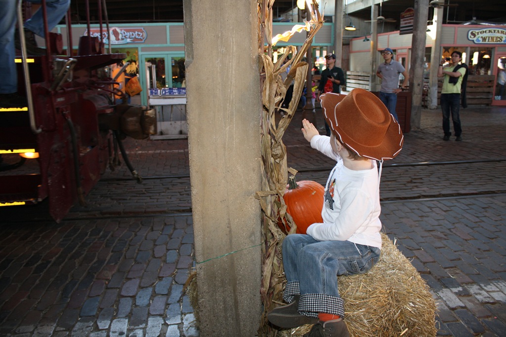 [IMG_5270e%255B5%255D.jpg]