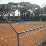 DSC04533.JPG