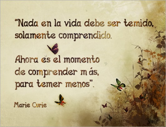 vida vida