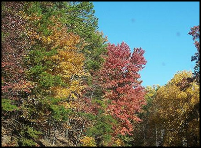 [fall-1_thumb22.png]