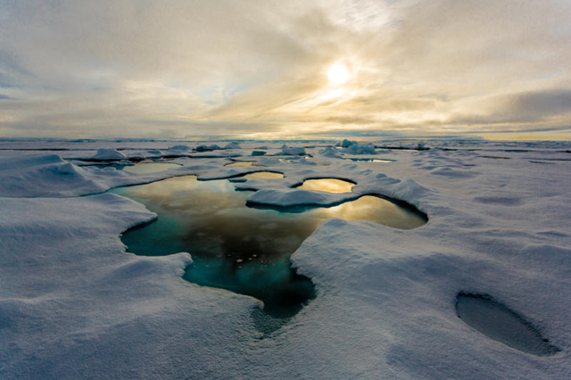 Melt pond on Arctic sea ice. Photo: Stefan Hendricks / Alfred Wegener Institute