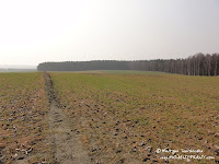 dsc07068.jpg