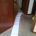 2011-09-28 12.26.30.jpg