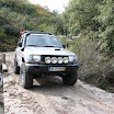 IMG_3745.JPG