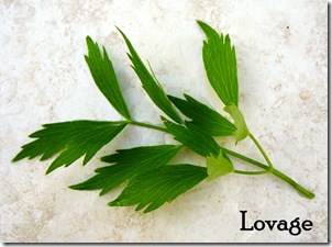 Lovage Lovage