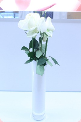 IMG_0744_resize