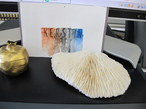 It's hard to be inside all day. This  allows me a tiny bit of the beach -- even on the coldest, darkest days. The beautiful card was a gift from a recent intern.