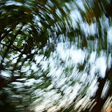 Naturaleza abstracta