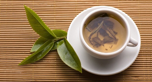 [Erva-cidreira%2520propriedades%252C%2520benef%25C3%25ADcios%255B3%255D.jpg]