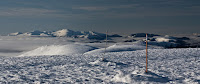 IMG_5914.jpg Photo