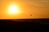 DSC_0675.JPG