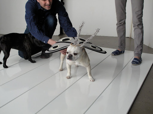William van Roden is positioning me for the shoot.  He told me to be very still.