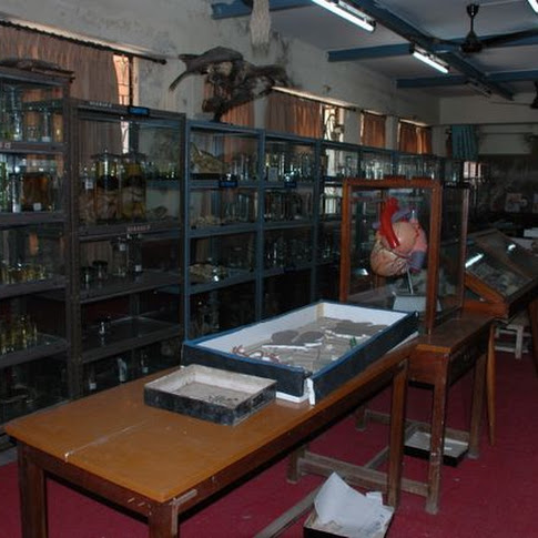 Zoology Musum-2.jpg