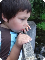 brayden