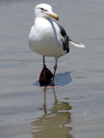 [IMG_0017%255B2%255D.jpg]