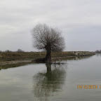 IMG_1595.JPG