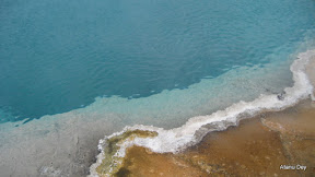 IMG_4160.jpg