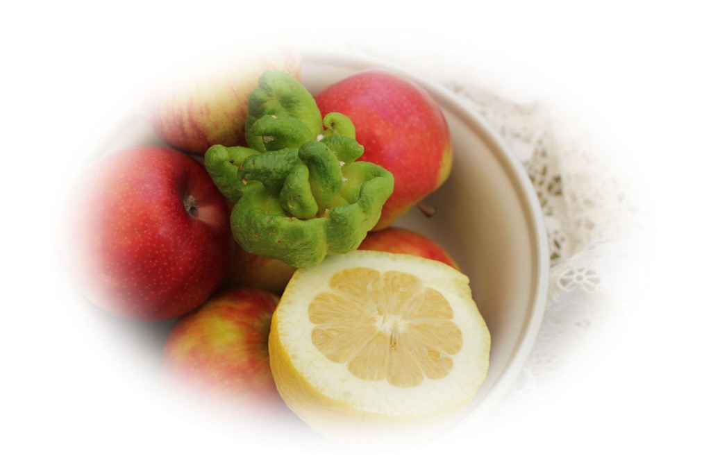 [Mutant%2520lemon%25201%255B5%255D.jpg]