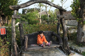 IMG_6724 IMG_6724