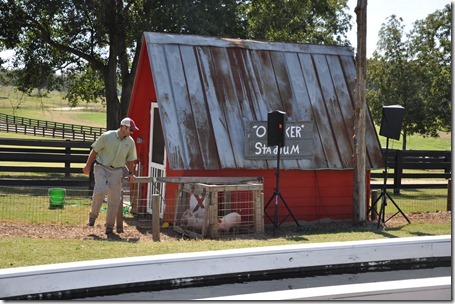 southern belle farm 100611 (47)