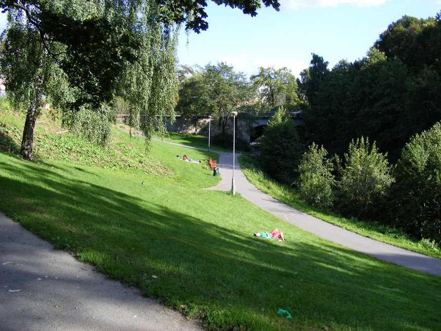 DSCF6362.JPG
