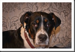 Winston110604-6