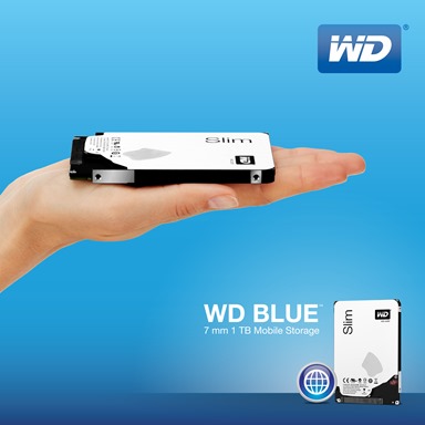 Western Digital WD Blue 1TB
