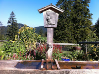 IMG_1937.JPG Photo
