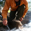 Wilderness Ranger Internship Program - 100_0170.JPG