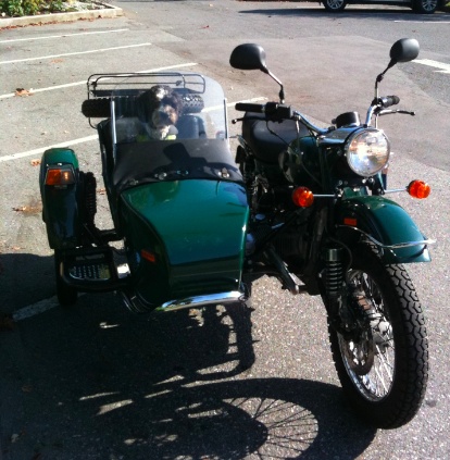 IMG_2159.jpg IMG 2159
