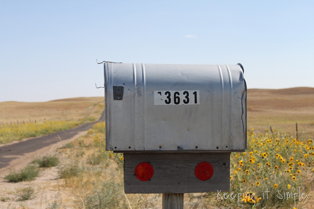 [mailbox%2520vinyl%2520%25282%2529%255B9%255D.jpg]