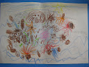 Rock Pool Diagram