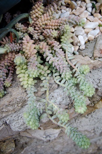 [Eze-19%255B5%255D.jpg]