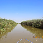 IMG_5745.JPG