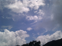 IMG_20110608_105637.jpg