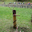 Hasičský viacboj - Likavka 29.9.2012