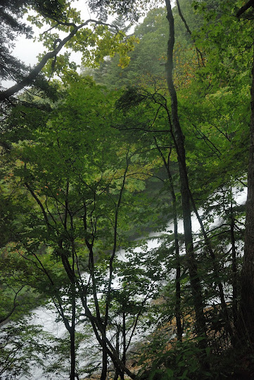 横から湯滝