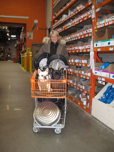 There is a rule that dogs must travel through the store in a cart.  We obliged happily - it was such a great vantage point.  Martha got new hoses for the greenhouses and some flat pans for the geese feed.