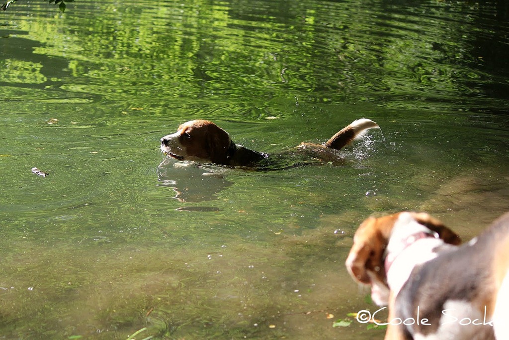 [IMG_2720%255B3%255D.jpg]