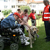 IMG_1890.JPG