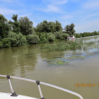 IMG_5225.JPG