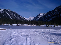 1323371586883.jpg Photo