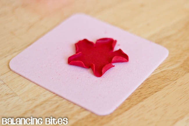 [How%2520to%2520make%2520small%2520gumpaste%2520roses%2520%252816%2529%255B8%255D.jpg]