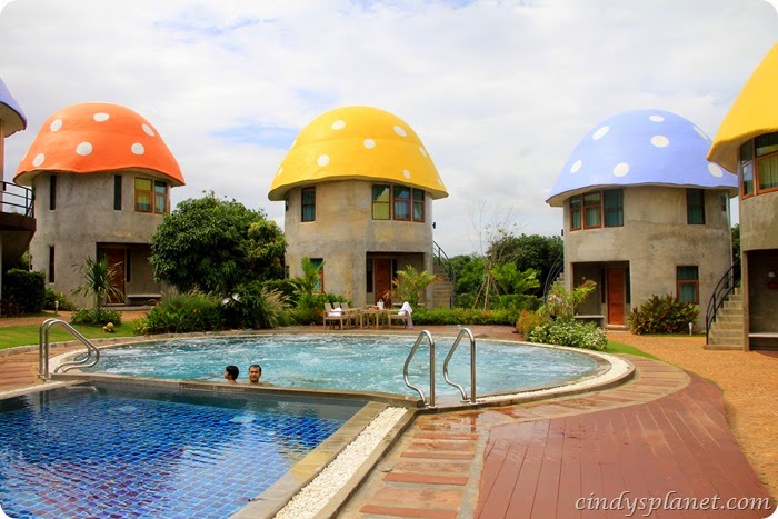 khao yai panorama farm (16) khao yai panorama farm (16)
