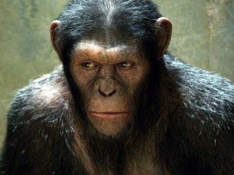 [rise_of_the_planet_of_the_apes_movie_66515-480x360%255B5%255D.jpg]