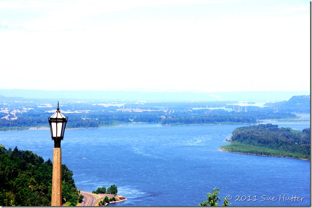 DSC02254-1