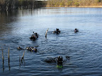 IMG_6958.JPG