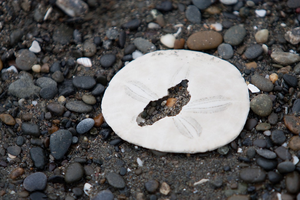 [20110611-IMG_03154.jpg]