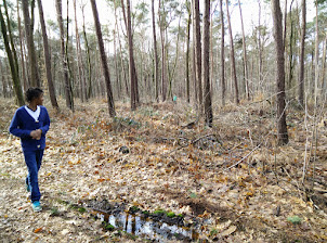 2015-03-03 NS zoek de moordenaar