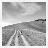 Pengelly Ridge hiking trail leads to Glacial Lake Missoula High Water Mark at 4,200 feet